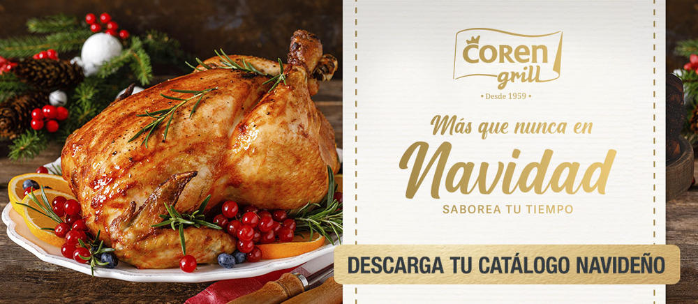 Banner NAVIDAD descarga catalogo.jpg